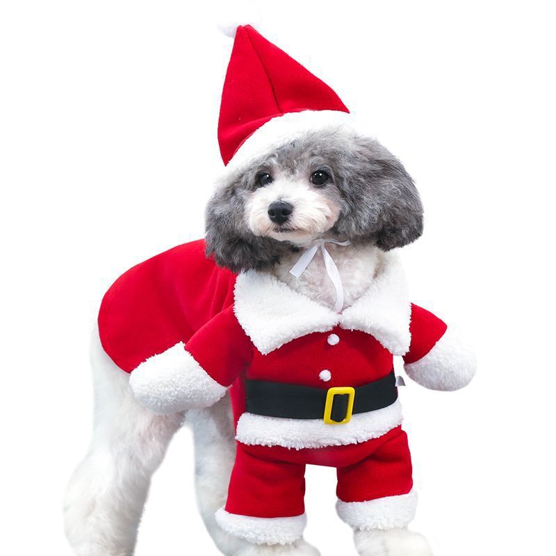 Festive Pet Christmas Costume – Adorable Standing Outfit!