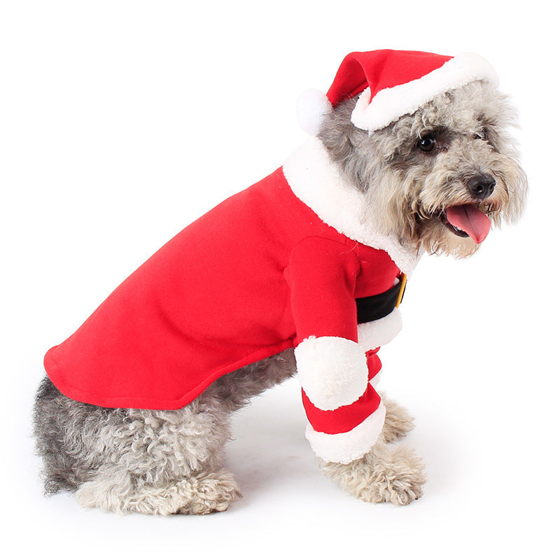 Festive Pet Christmas Costume – Adorable Standing Outfit!