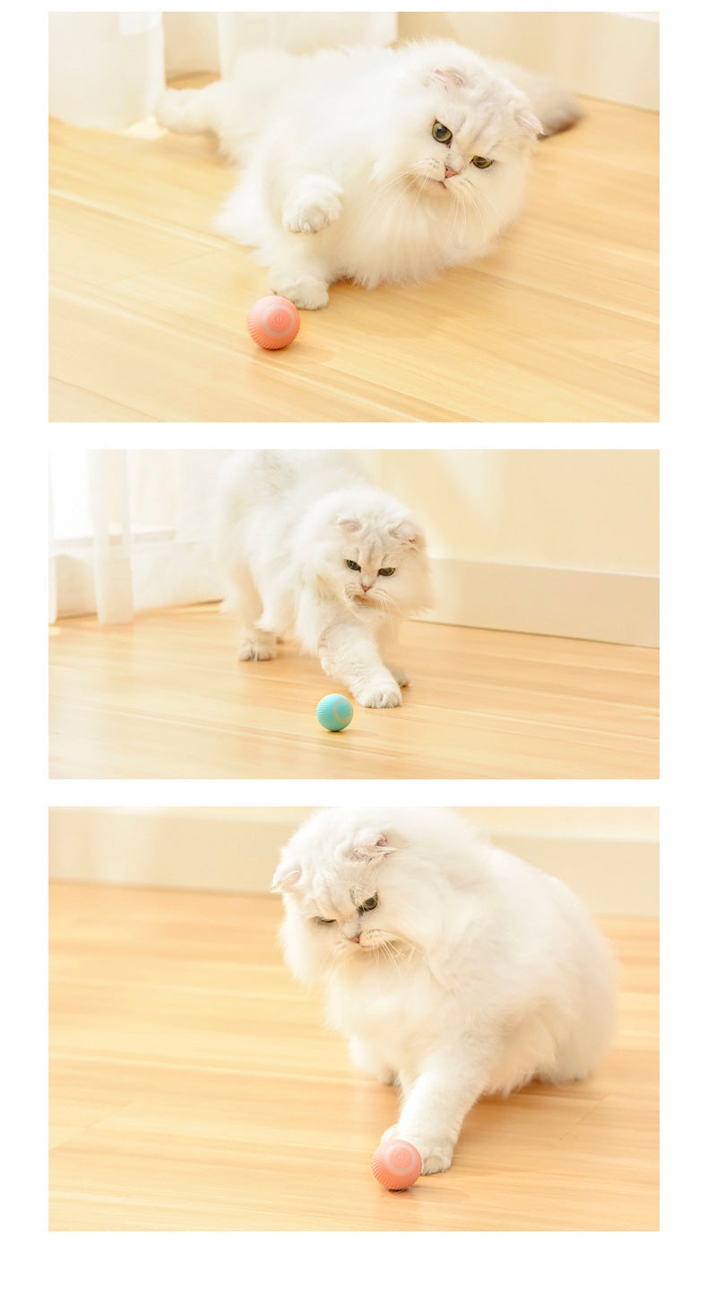 Smart Rolling Ball Toy for Active, Happy Cats