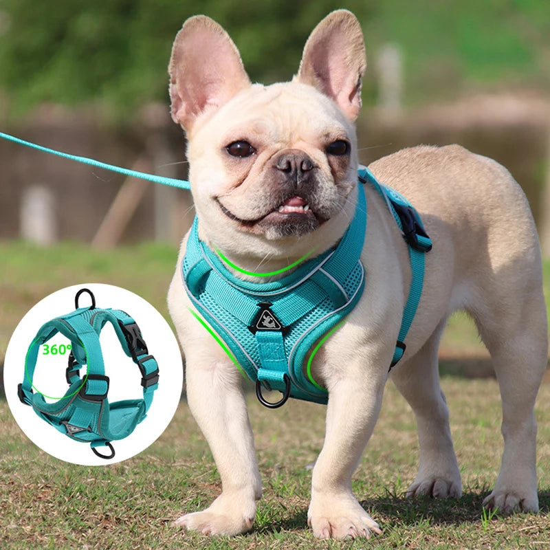 Adjustable Reflective Dog Harness Leash Set for All Sizes