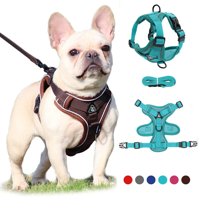 Adjustable Reflective Dog Harness Leash Set for All Sizes