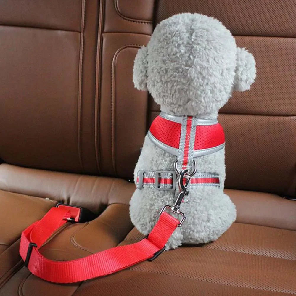 Safety Belt for Pets: Perfect for Car Rides